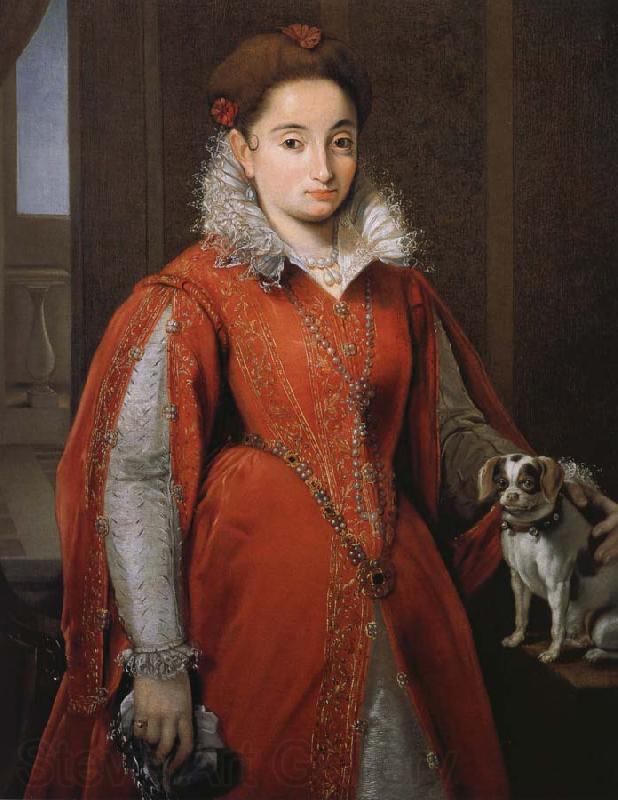 Alessandro Allori With the red dog lady Germany oil painting art